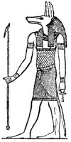 BOM50049.JPG