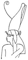 BOM50038.JPG