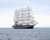 BPD50167.JPG