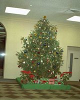 BQV50113.JPG