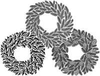 BQT50071.JPG