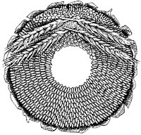 BQT50042.TIF