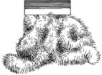 BQD50044.TIF