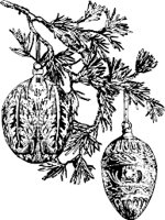 BQD00295.WMF