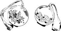 BQD00136.WMF