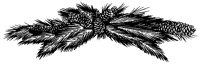 BQA50008.TIF