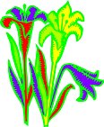 BRL00003.WMF