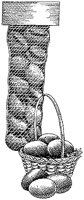 BRJ50005.TIF
