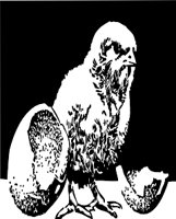 BRH00026.WMF