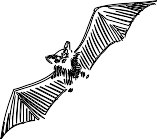 BSH00002.WMF