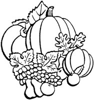 BUG50005.TIF