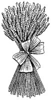 BUG50004.TIF