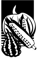 BUG50003.TIF