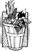 BUG50002.TIF