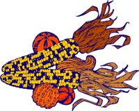 BUG00028.WMF
