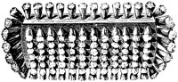 BXN50005.TIF