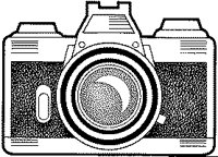 BXV50010.TIF