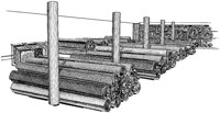 BZA50045.JPG