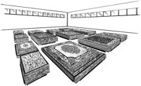 BZA50044.JPG