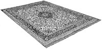 BZA50037.TIF