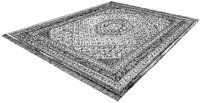 BZA50036.TIF