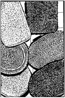 BZA50029.TIF
