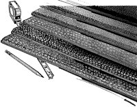 BZA50018.TIF