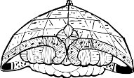 BYZ00040.WMF