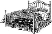 BYQ50106.JPG