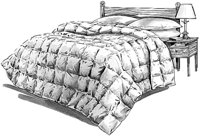 BYQ50103.JPG
