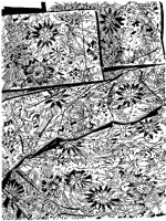 BYQ50036.TIF