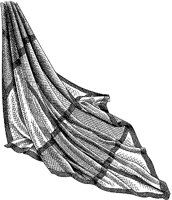 CAE50034.TIF