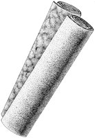 CAC50015.JPG