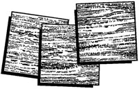 CAA50020.JPG