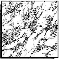 CAA50019.JPG
