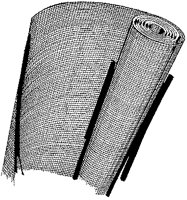 BZZ50002.TIF