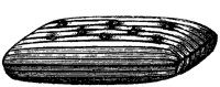 BZX50015.TIF