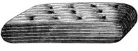BZX50012.TIF
