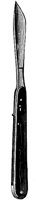 CAS50012.TIF