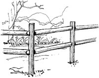 CCJ50005.TIF