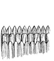 CCJ50002.TIF