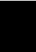 CDW00011.WMF