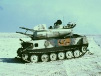 CEJ50176.JPG