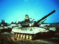 CEJ50157.JPG