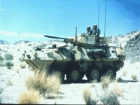 CEJ50098.JPG