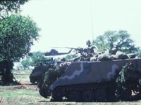 CEJ50083.JPG