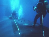 CEI50185.JPG