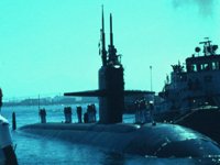 CEI50177.JPG