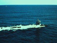 CEI50154.JPG