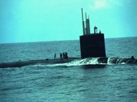 CEI50152.JPG
